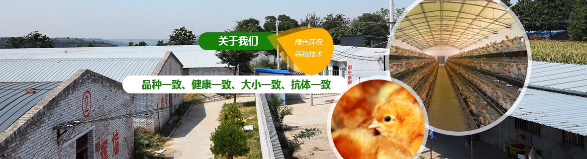 關(guān)于興塬 關(guān)于興塬